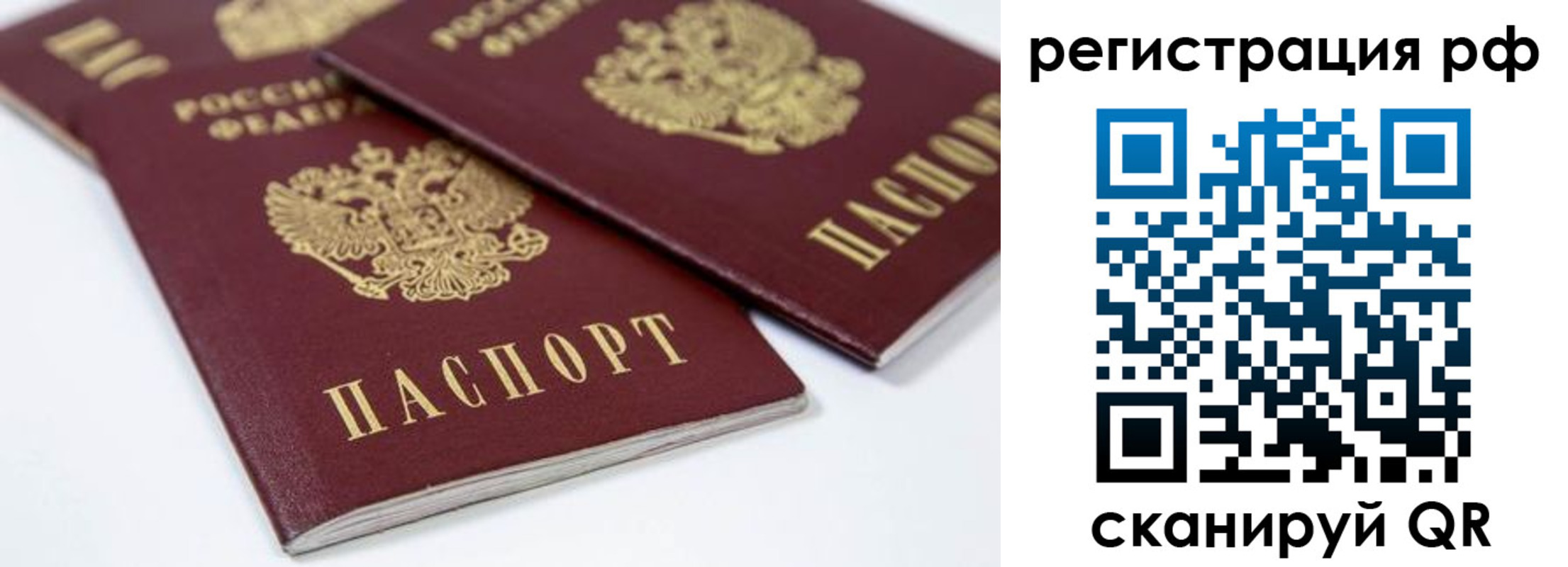 прописка регистрация в Волгоградской области